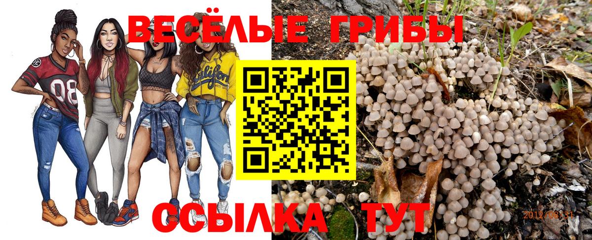 Псилоцибиновые грибы Psilocybine cubensis  Вход с VPN  Сокол  Псилоцибиновые грибы ЛСД 