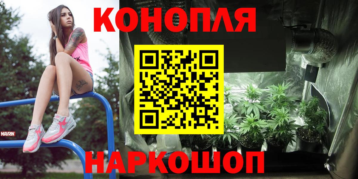 Бошки марихуана ГИДРОПОН  Вход с VPN  Бошки Шишки марихуана  Сокол  Каннабис тримм  Канабис SATIVA & INDICA 